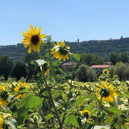 Entire House With Panoramic Views And Use Of Pool Ferienhaus *